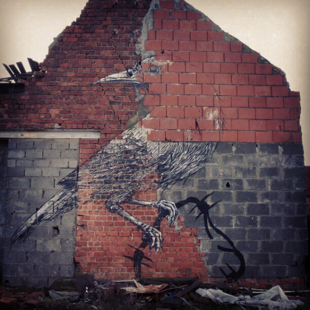 Roa Bird