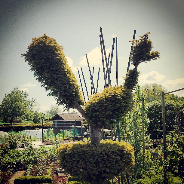 Volkstuinen van Gentbrugge