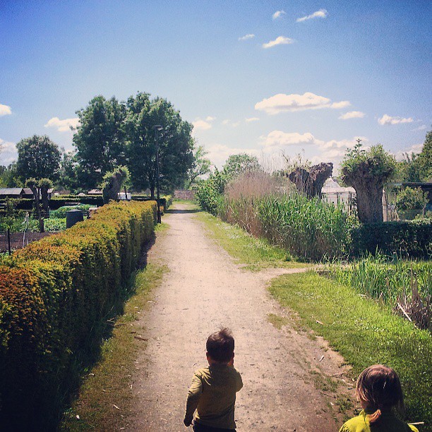 Volkstuinen van Gentbrugge